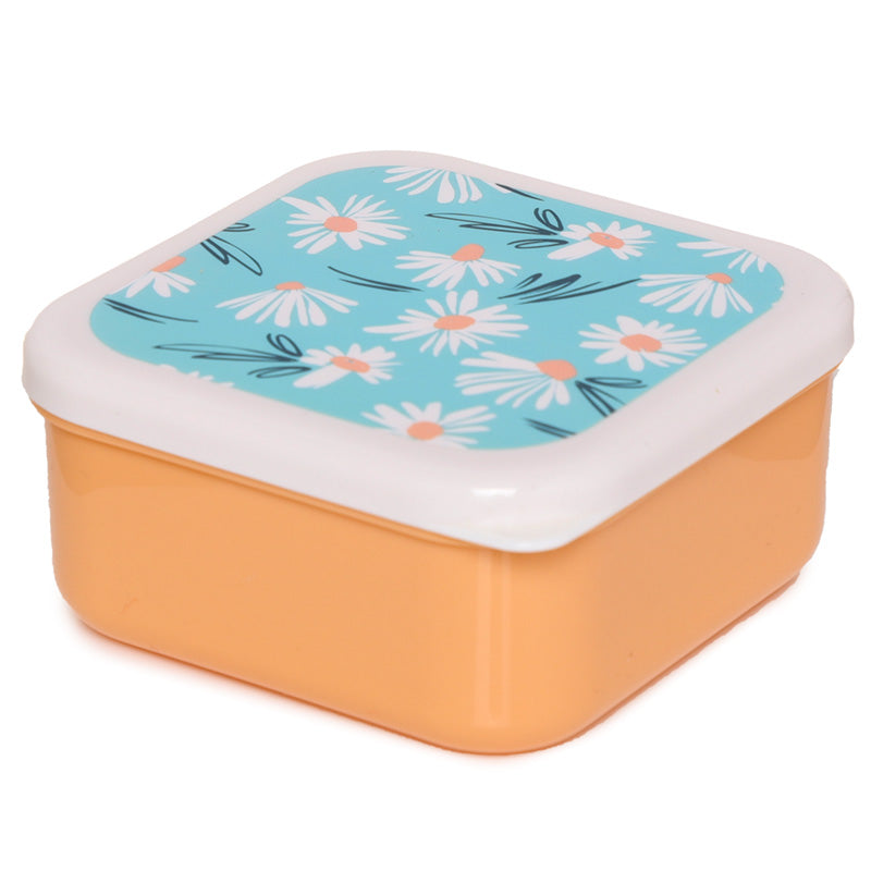 Set of 3 Lunch Box Daisy Lane, Protea, Buttercup Pick of the Bunch