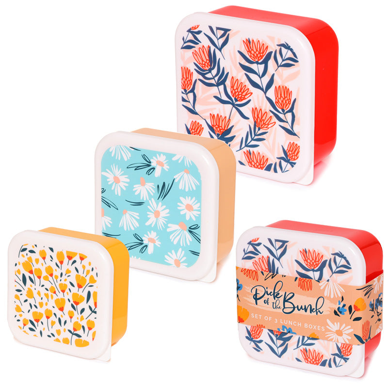 Set of 3 Lunch Box Daisy Lane, Protea, Buttercup Pick of the Bunch