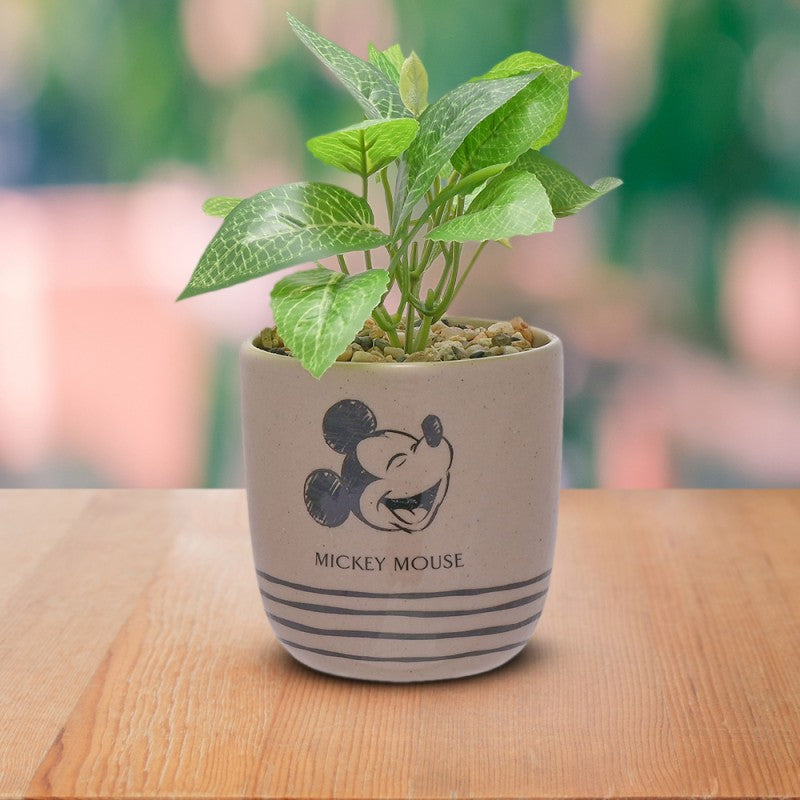 Disney Mickey Mouse Potted Plant with pebble decoration for MIckey Mouse Fans