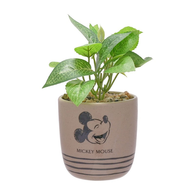 Disney Mickey Mouse Potted Plant with pebble decoration for MIckey Mouse Fans